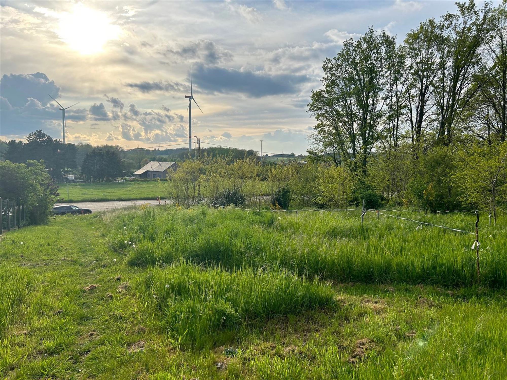 Land for sale in Bekkevoort - photo 2