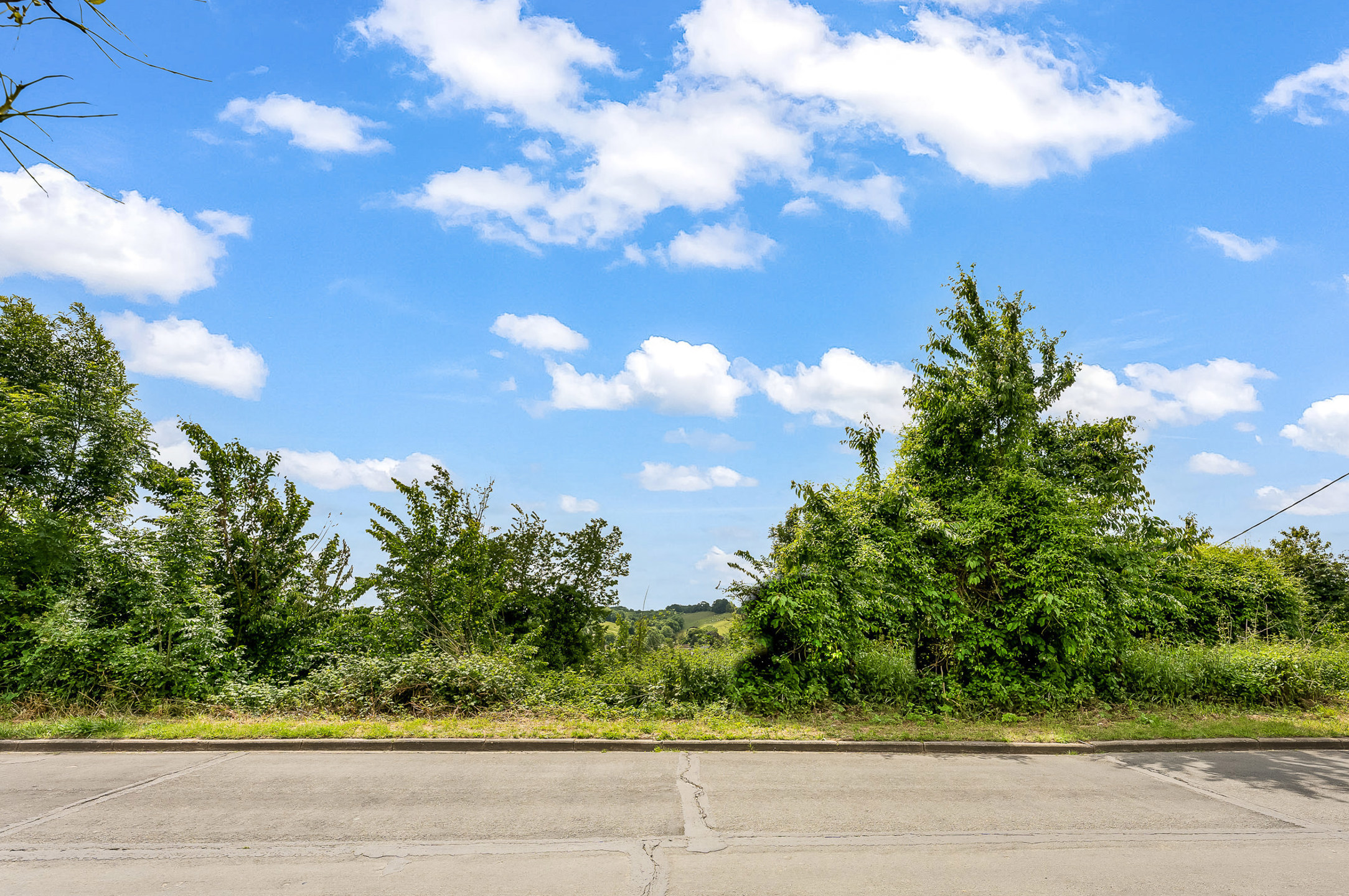 Terrain à vendre à Bassenge - photo 2