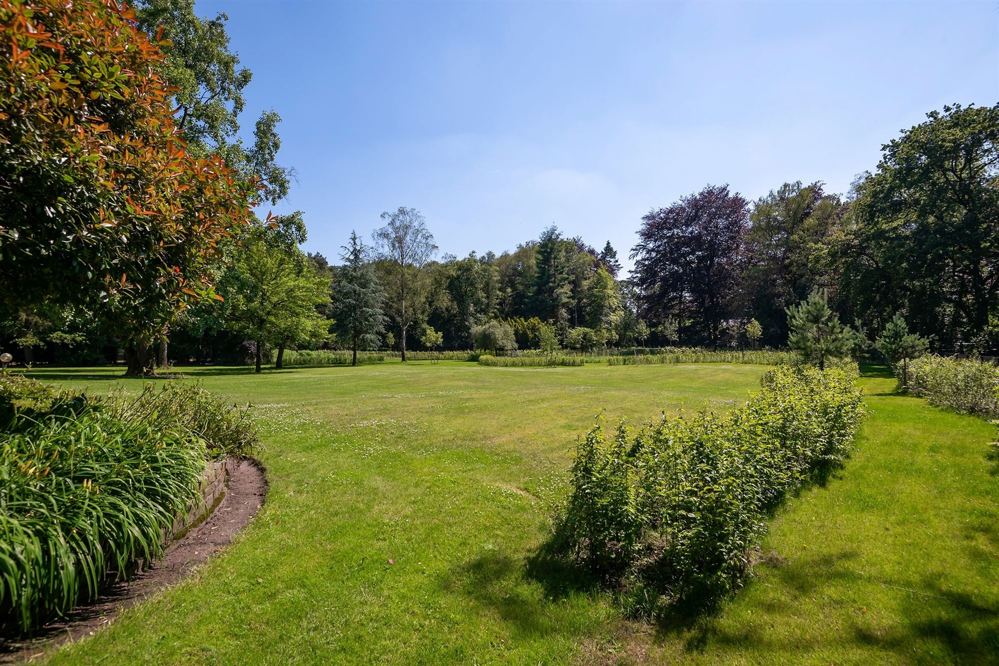 Exclusief landhuis met guesthouse en bijgebouw - foto 4