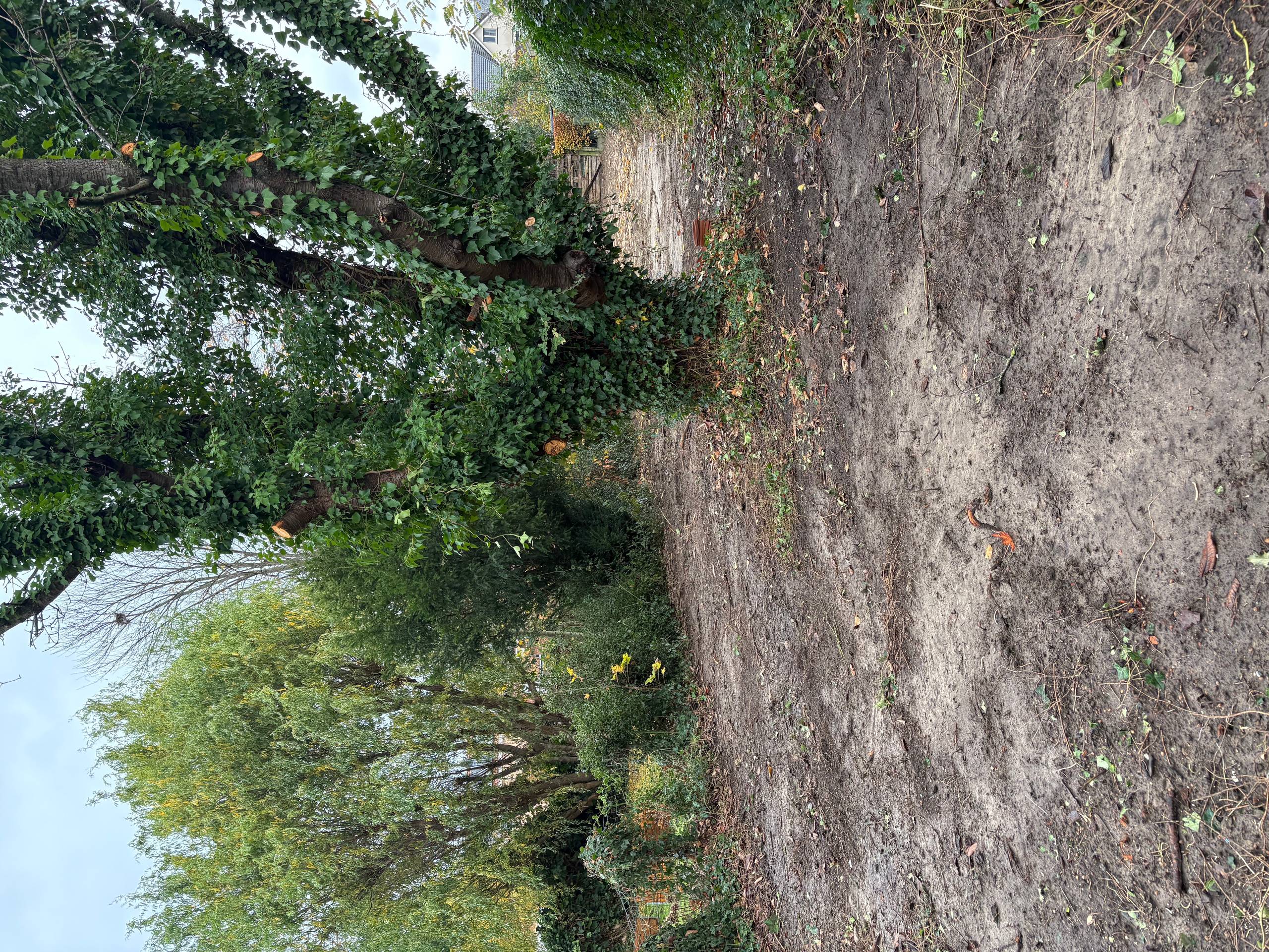 Mooie bouwgrond te koop in Leuven Wijgmaal. - foto 4