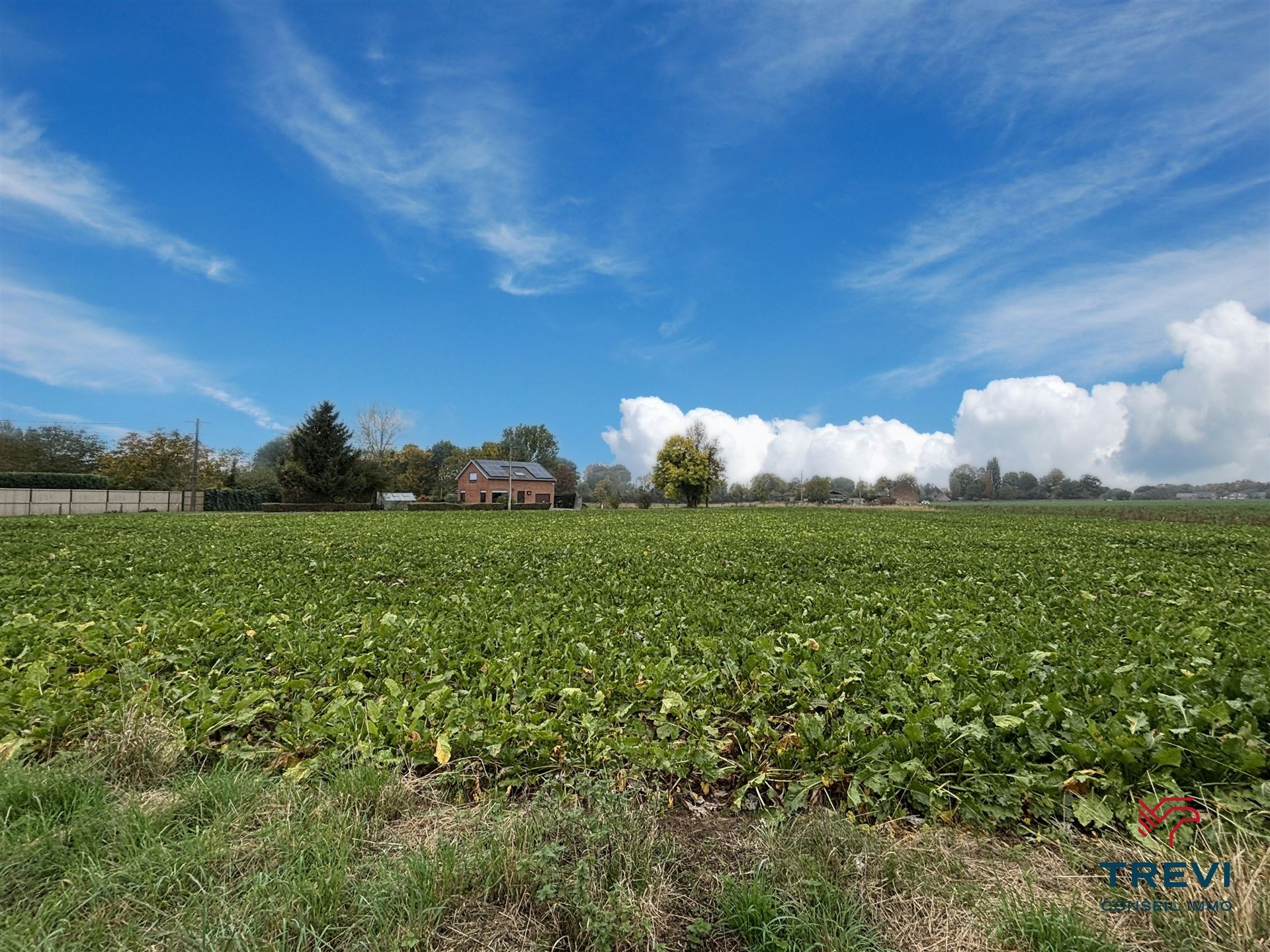 Land for sale in Ath - photo 5