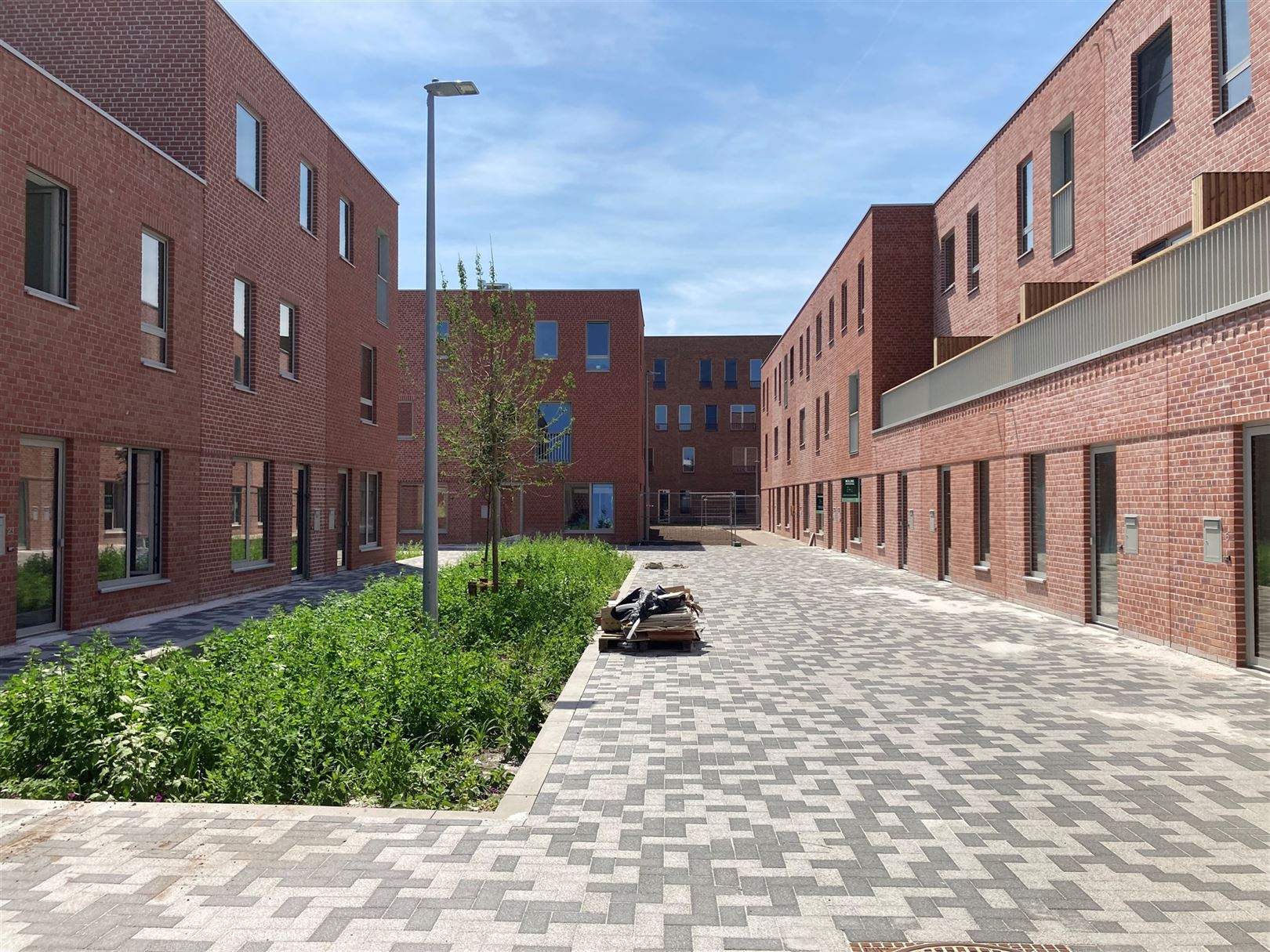 Maison à louer à Audenarde avec 3 chambres - photo 2