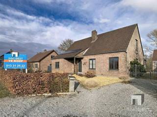 Deze centraal gelegen woning langs de Rijksweg in Nieuwrode, net aan de afrit van Aarschot-Tielt-Winge, biedt een zeldzame...