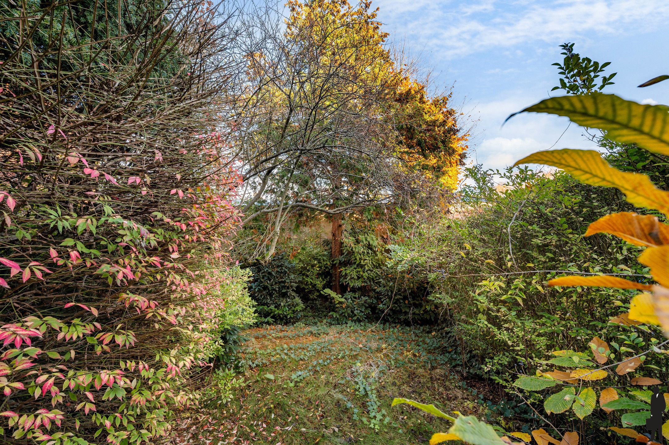 House for sale in Antwerp with 3 bedrooms - photo 5