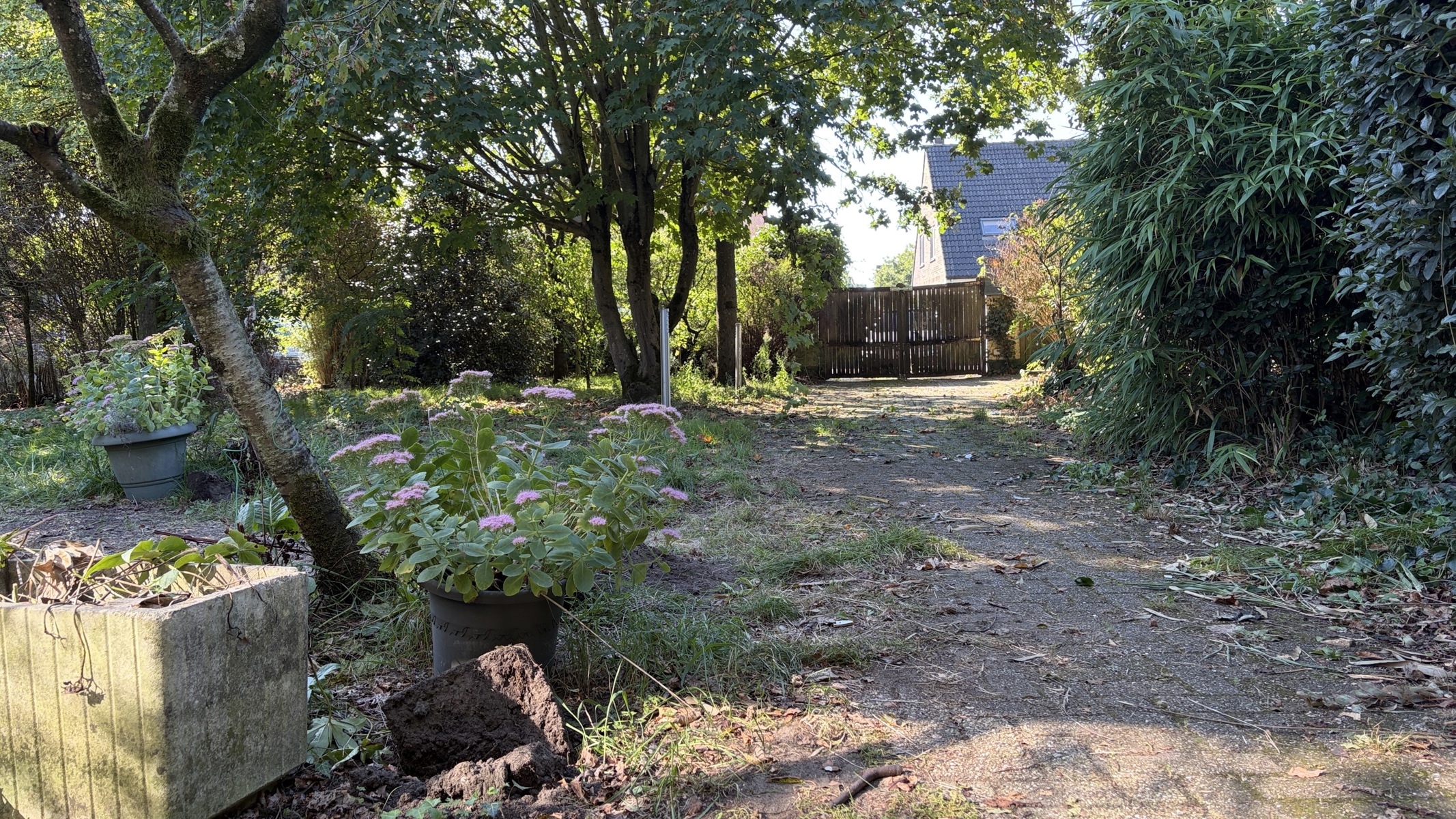 RENOVATIEPROJECT in een mooie groene omgeving - foto 5