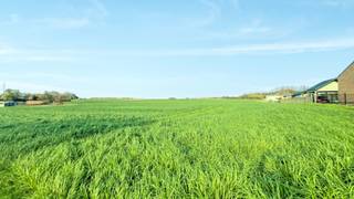 Terrain à vendre à Bilzen-Hoeselt