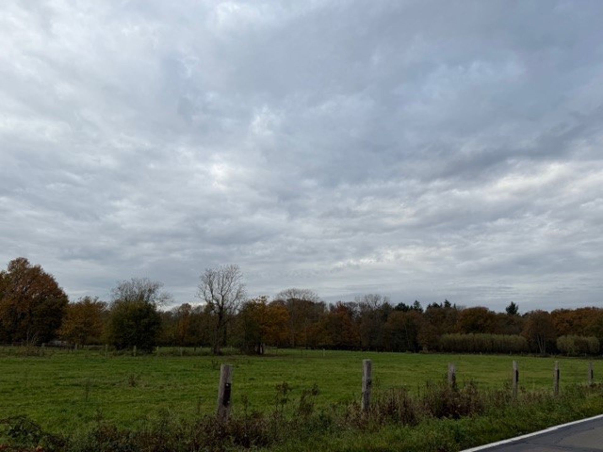 Landbouwgrond / Weide te koop – 22.359 m²! - foto 2