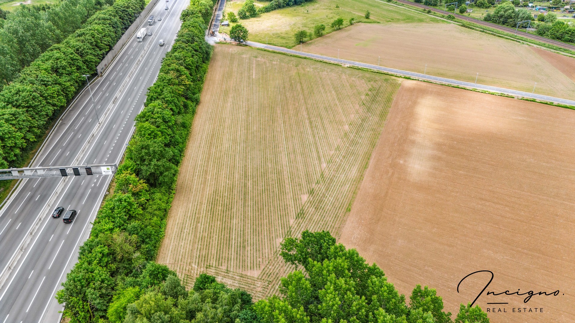 Terrain à vendre à Holsbeek - photo 4