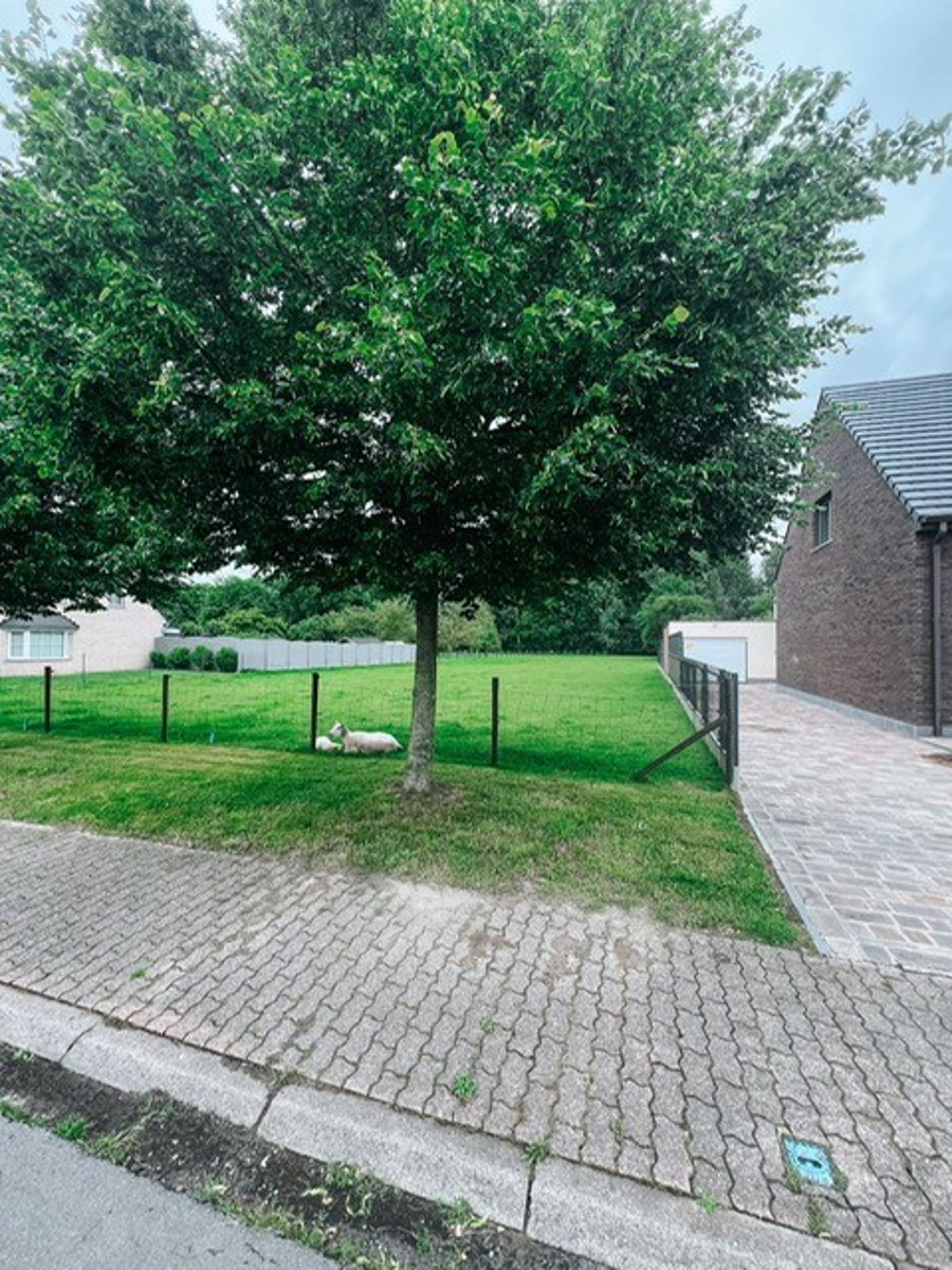 Uniek nieuwbouwproject op 1.500 m² grond met boszicht - foto 4