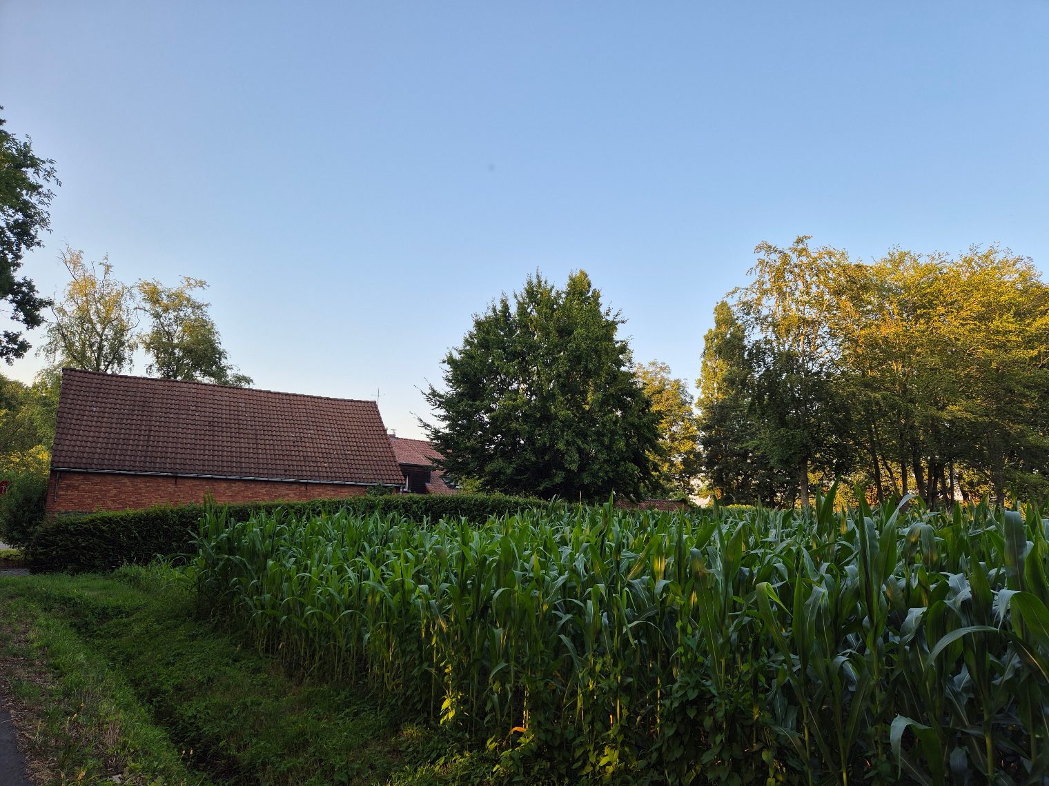 Huis te koop in Kessel met 4 slaapkamers - foto 3