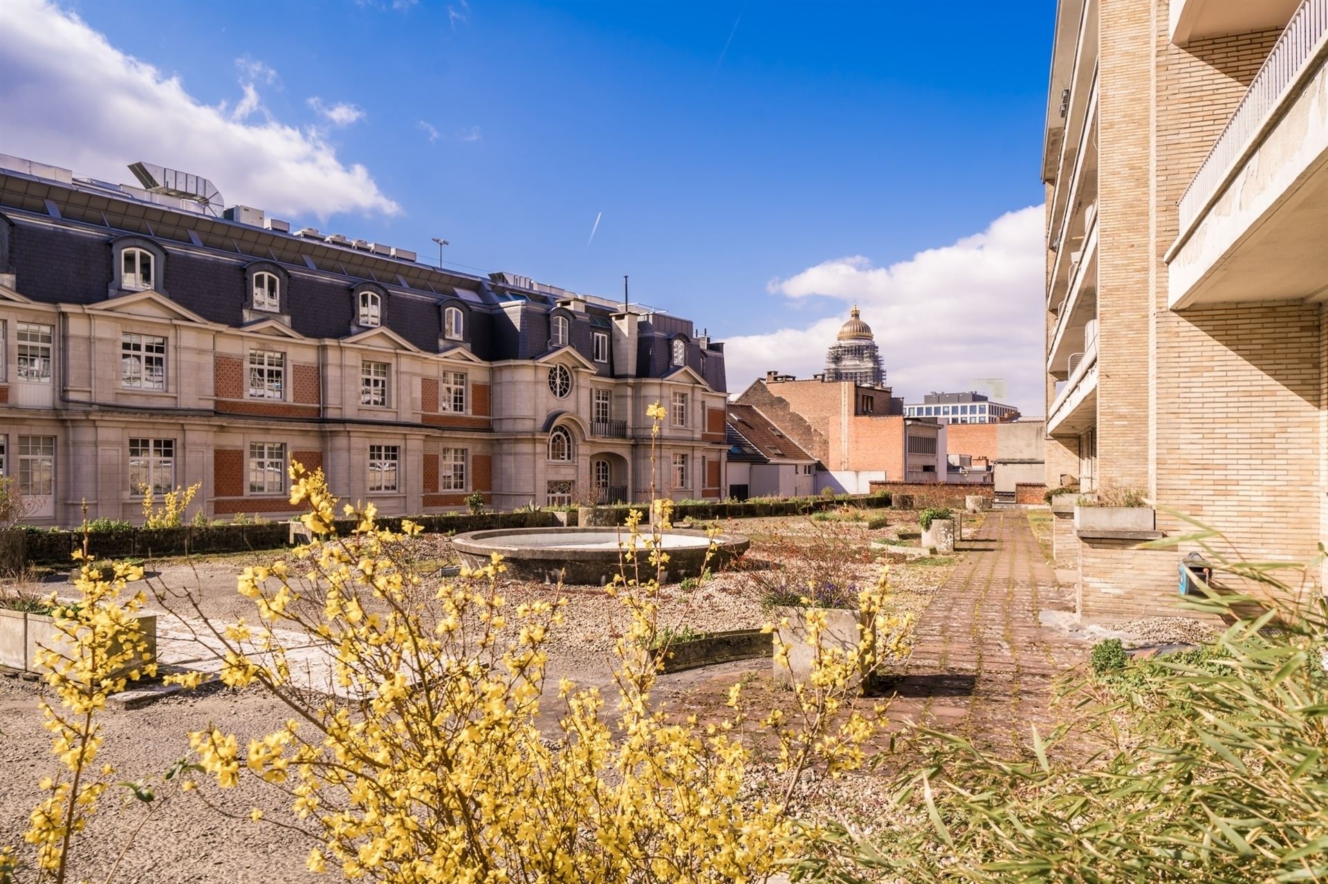 Superb 3-bedroom apartment with terrace - photo 5