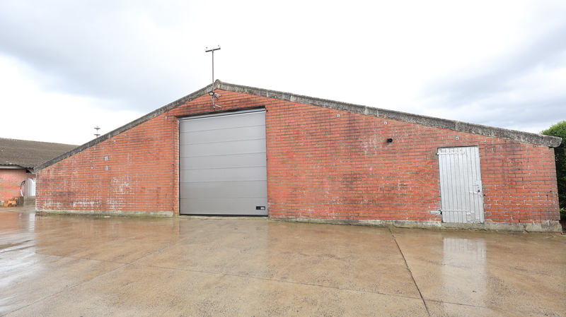 Ruime loods van 1.150 m² te huur in Lichtervelde! - foto 4