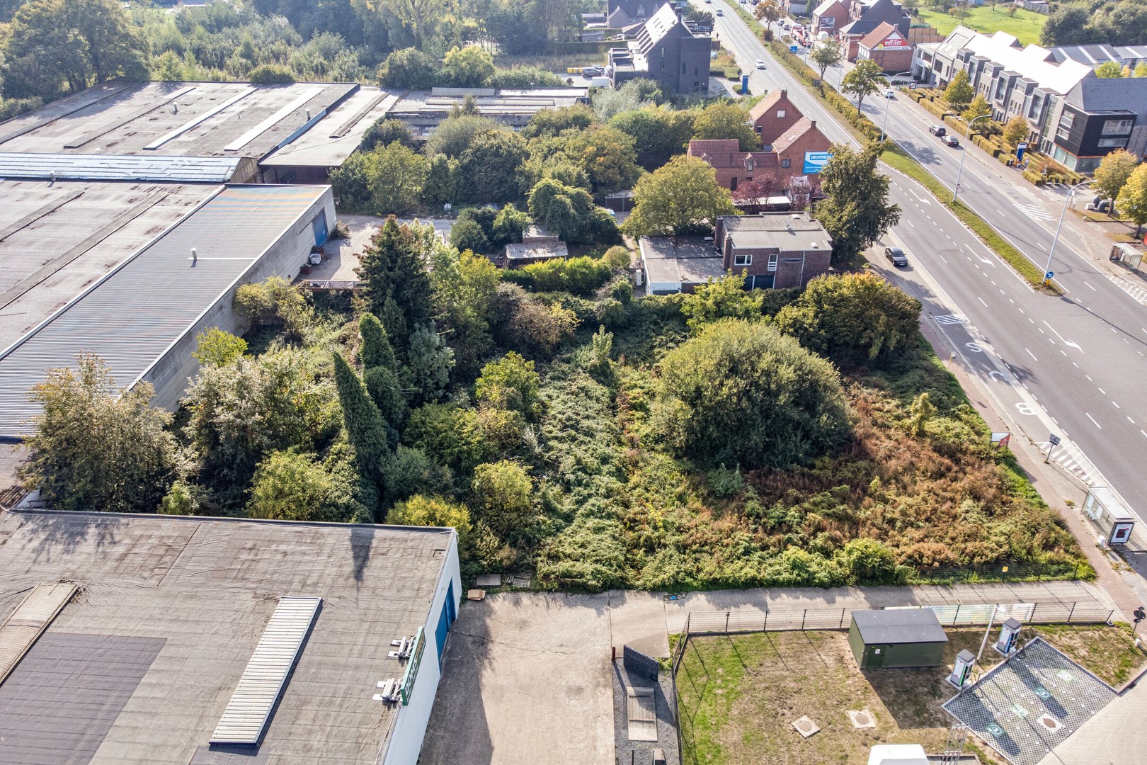 Projectgrond van 20 are 50 ca. met commerciële ligging in Geel - foto 5