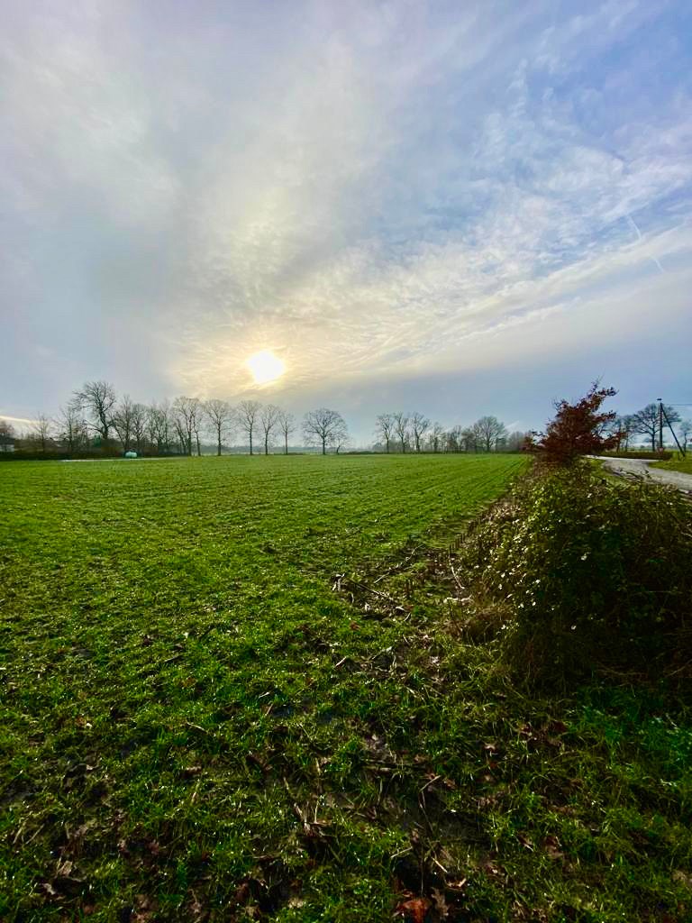 Ruim perceel grond van 15.660m² gelegen in recreatiegebied met diverse mogelijkheden - foto 2