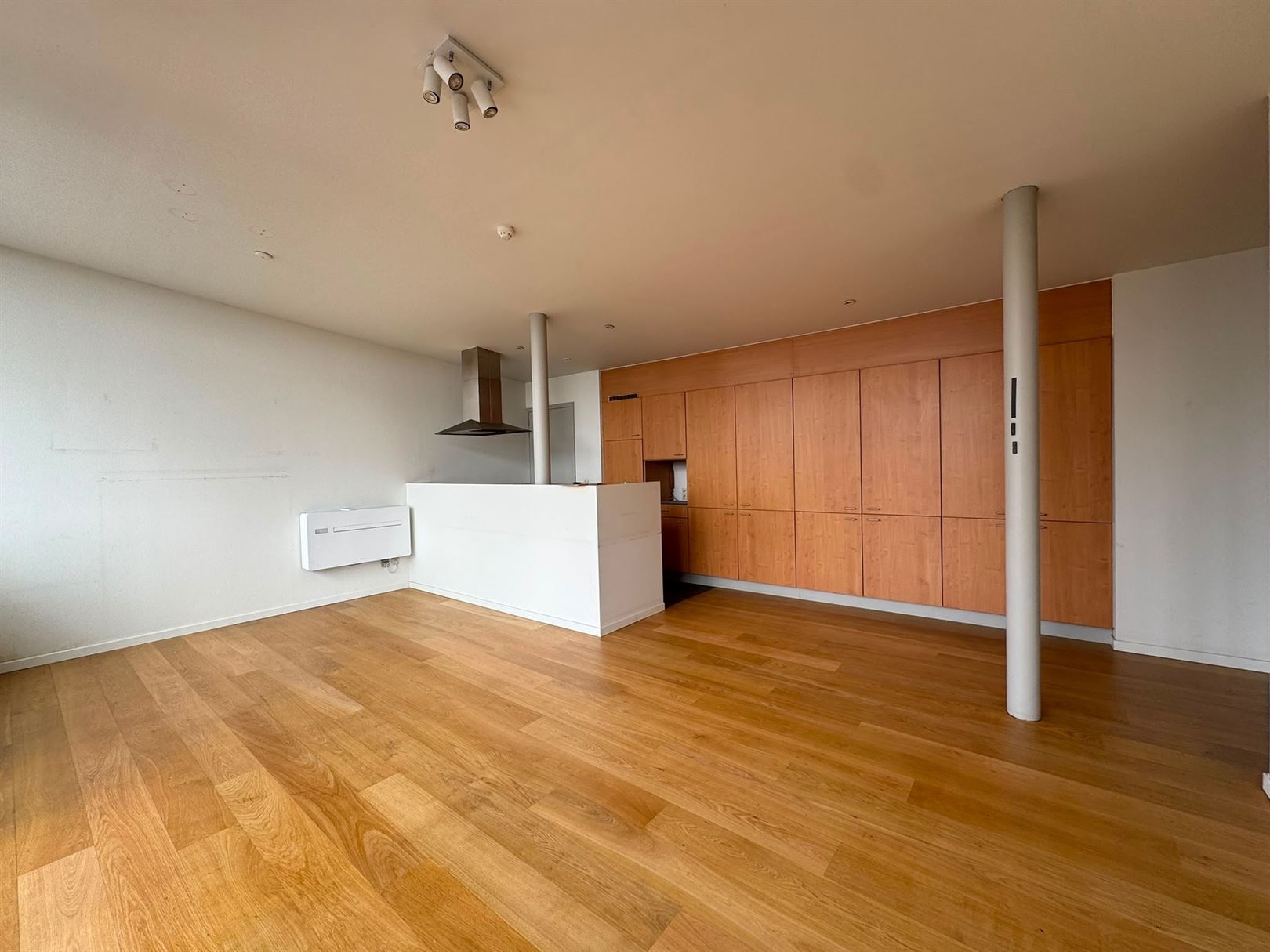 Apartment - photo 4