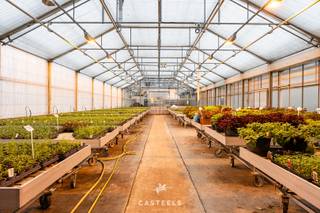 Deze professionele tuinbouwsite wordt discreet verkocht.De site is volledig ingericht voor onmiddellijke exploitatie. De infrastructuur focust op...