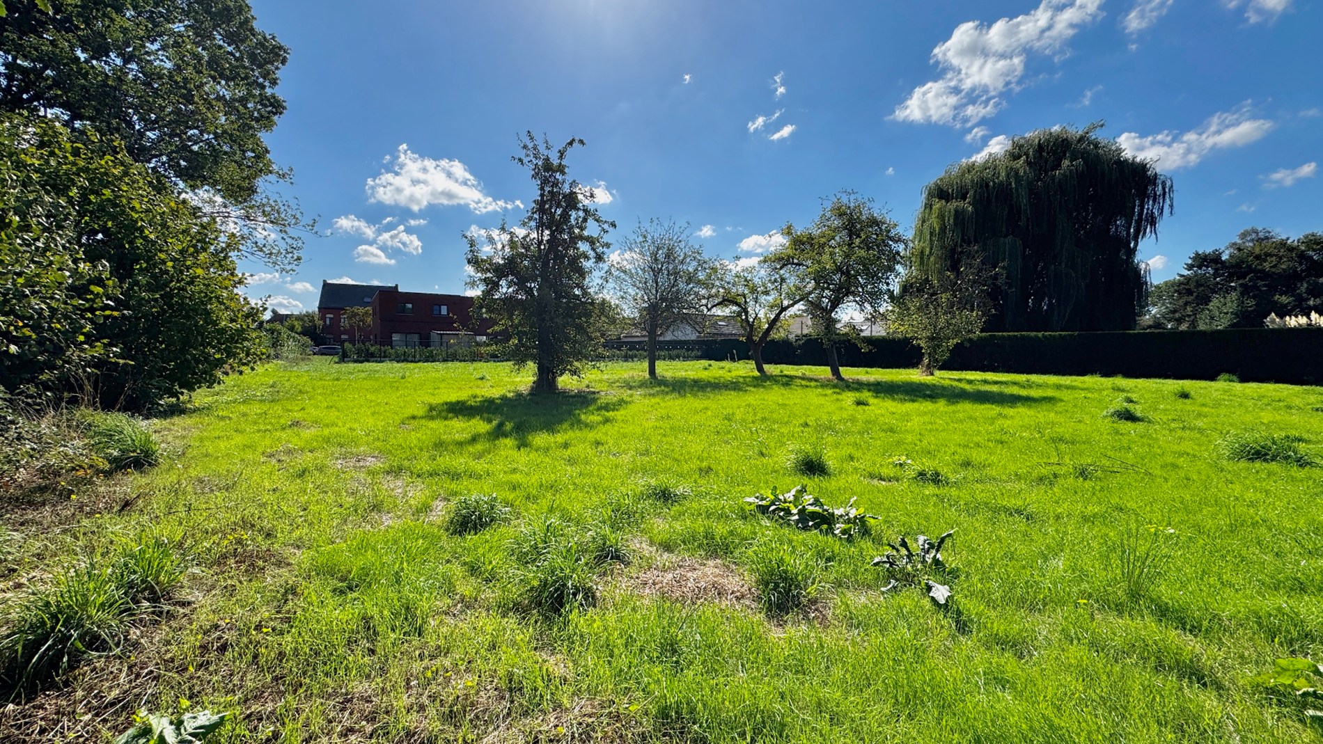 Unieke bouwgrond van 1.689 m² voor open bebouwing in Evergem/ Kluizen! - foto 5