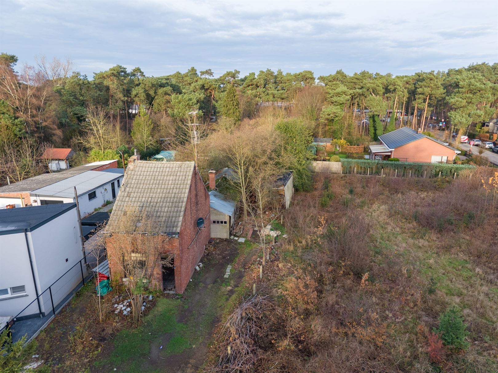 Terrain à vendre à Balen - photo 5