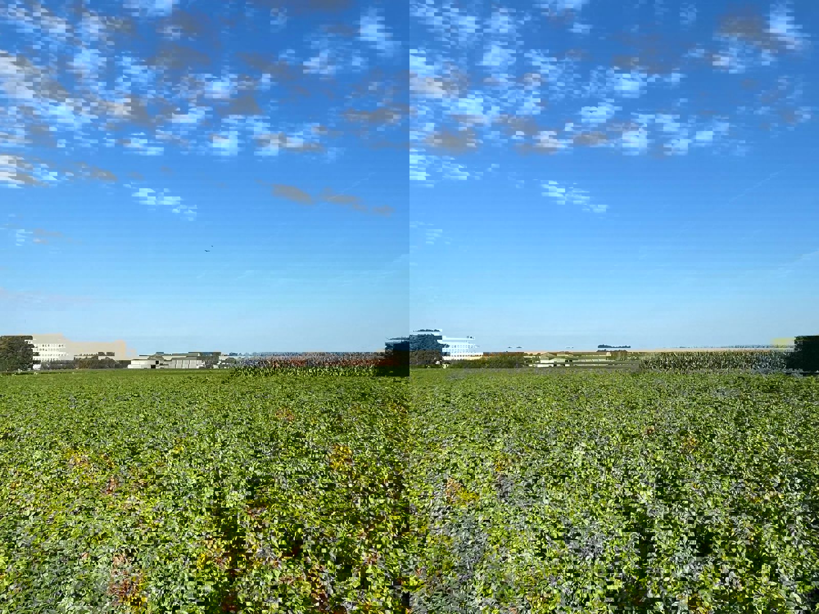 Grond te koop in Poperinge - foto 5