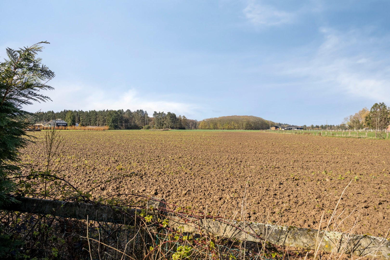 Maison à vendre à Oud-Heverlee avec 2 chambres - photo 3