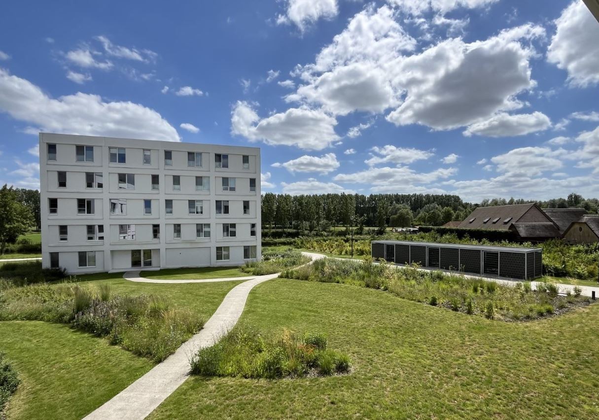 Projet à vendre à Lokeren - photo 4