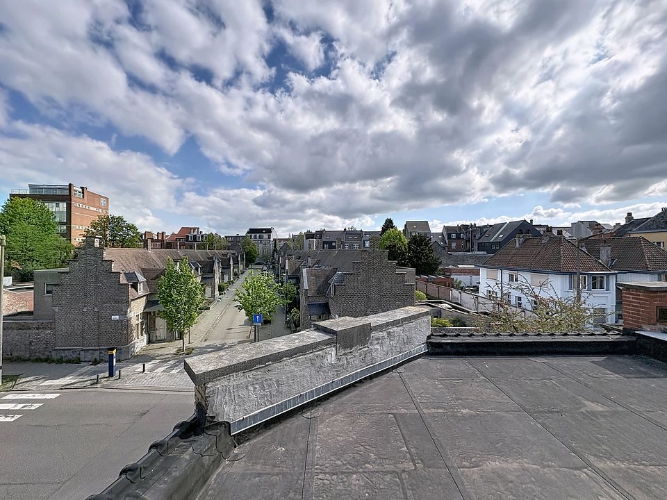 Exclusieve duplex met 3 terrassen nabij Gent-centrum - foto 4