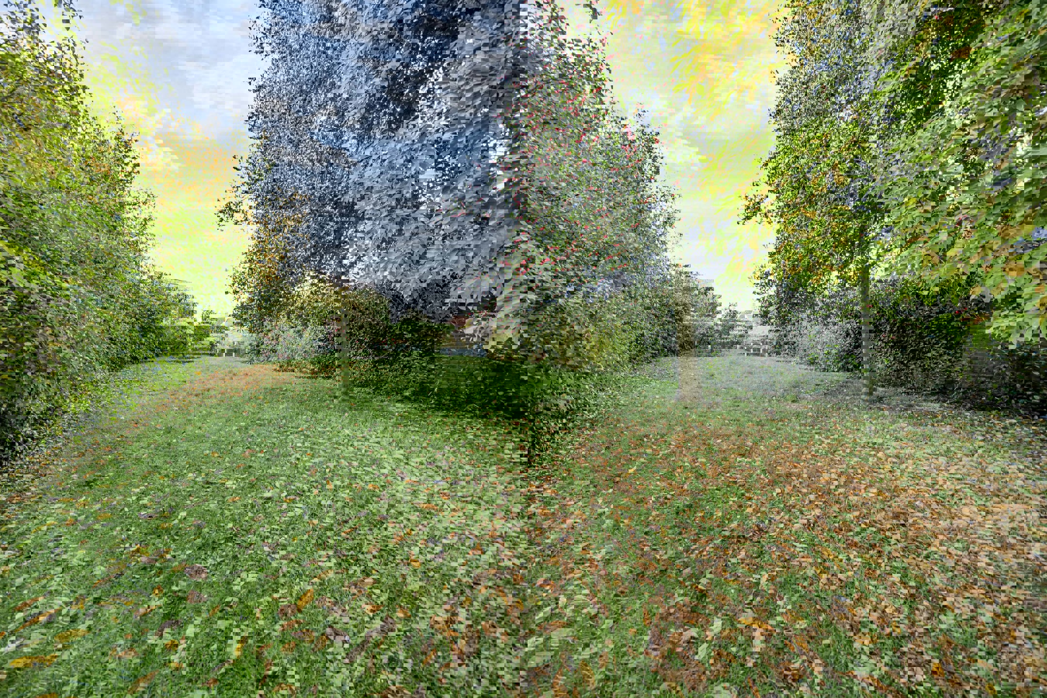 Huis te koop in Jodoigne met 6 slaapkamers - foto 4