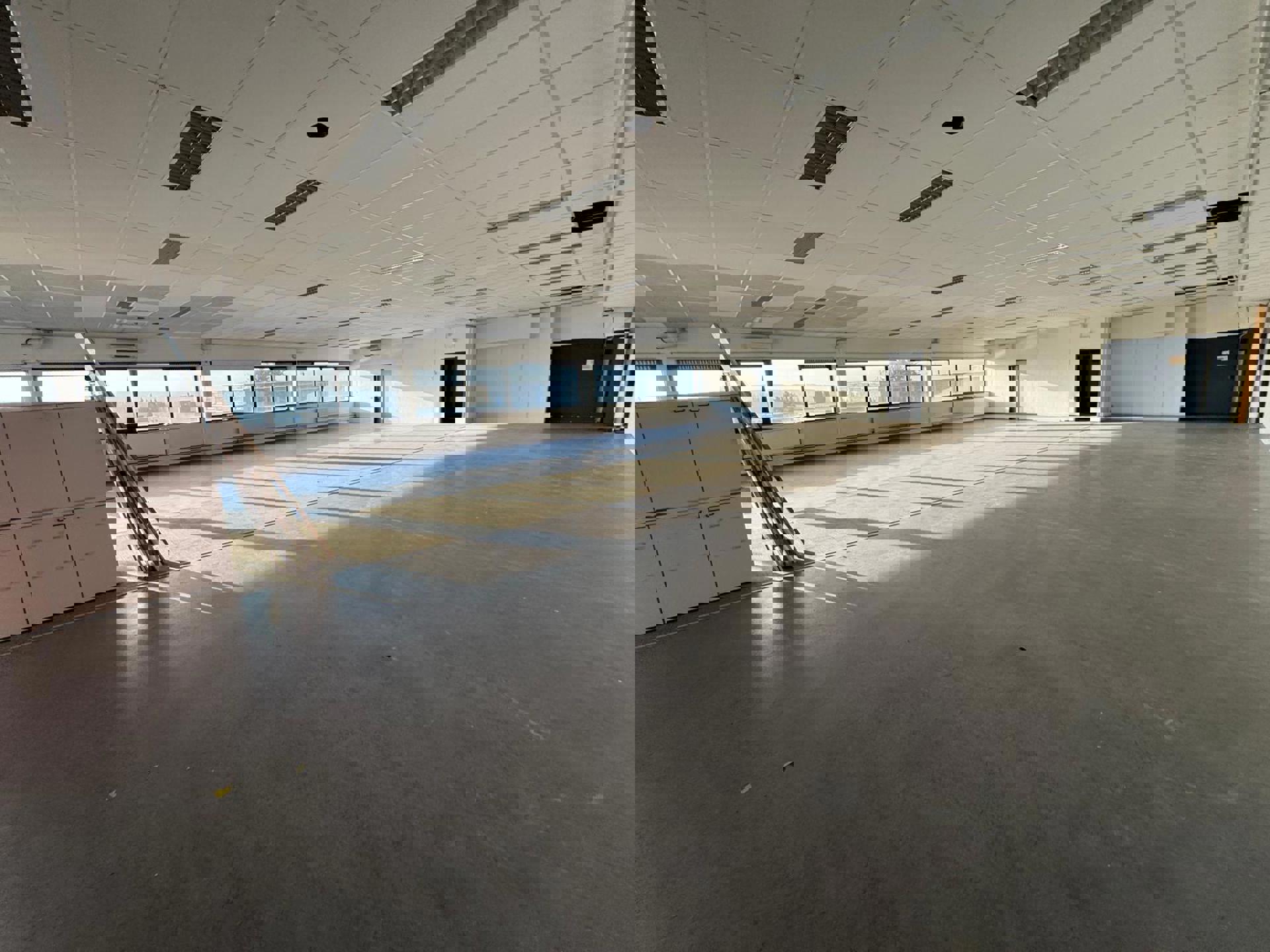 Commercial for rent in Ninove - photo 4