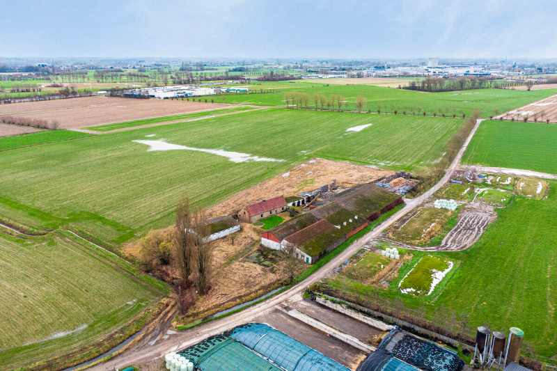 Domein te Landegem – Te renoveren hoeve op 1 hectare mét bouwmogelijkheden. - foto 1