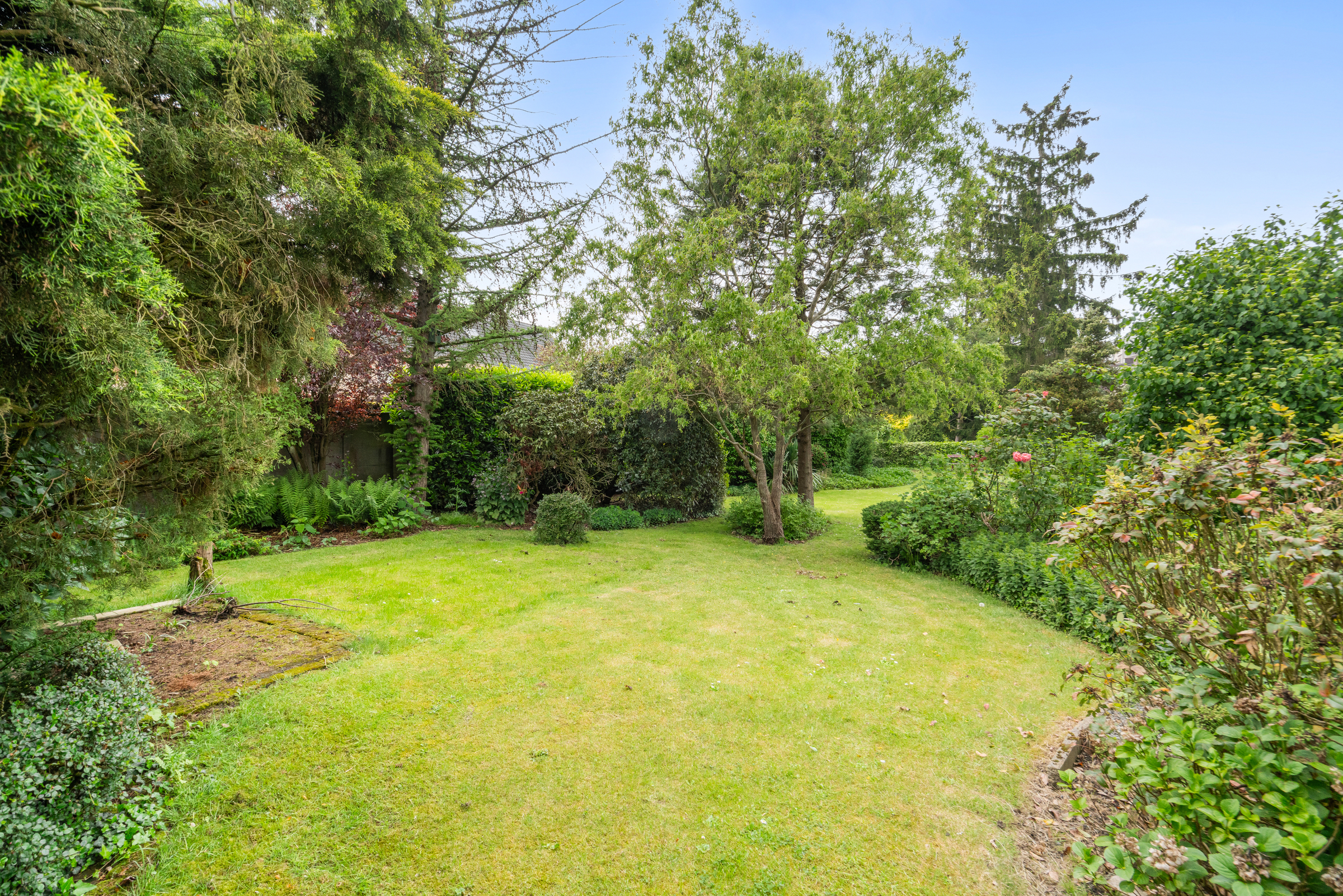 Woning met veel potentieel en grote tuin in Temse - foto 5