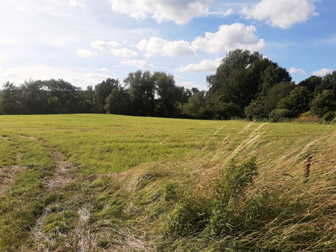 Huis te koop in Nijvel met 3 slaapkamers - foto 5