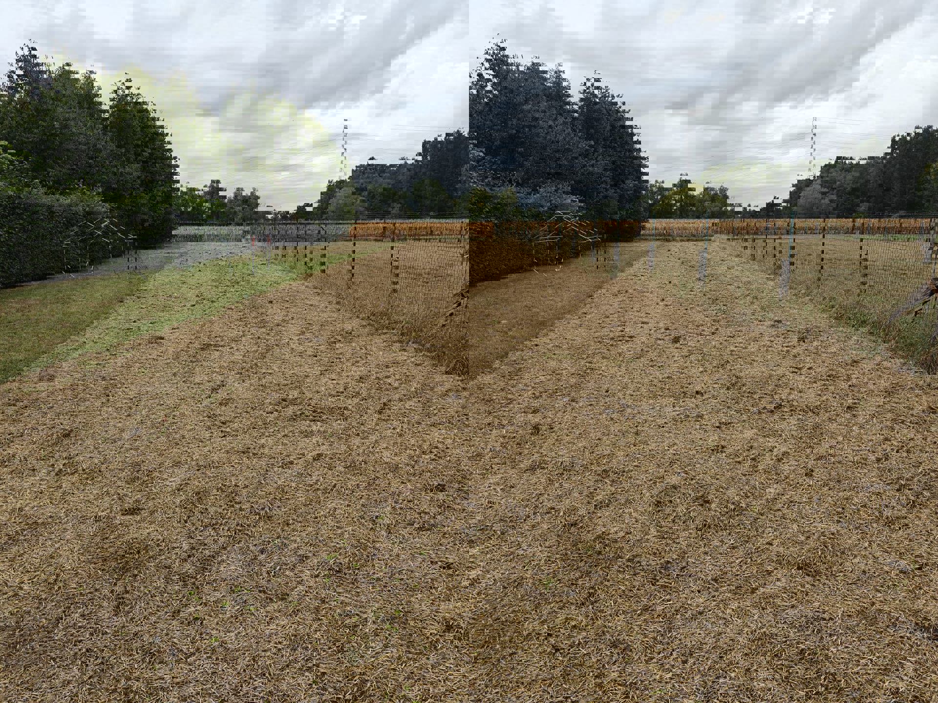 Snel bouwen of zelf ontwerpen? Deze bouwgrond maakt het mogelijk. - foto 4