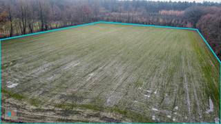 Perceel landbouwgrond van 1ha 46a 83ca te Meerle aan Lage Rooy.Kadaster: HOOGSTRATEN/4 AFD/MEERLE, Sectie BPercelen N° 164a & 166b aan € 8,51/m²Deze...