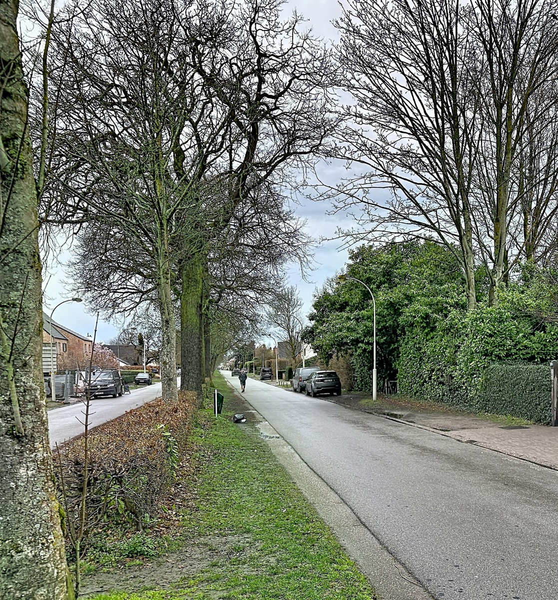 Bouwgrond voor villa - foto 4