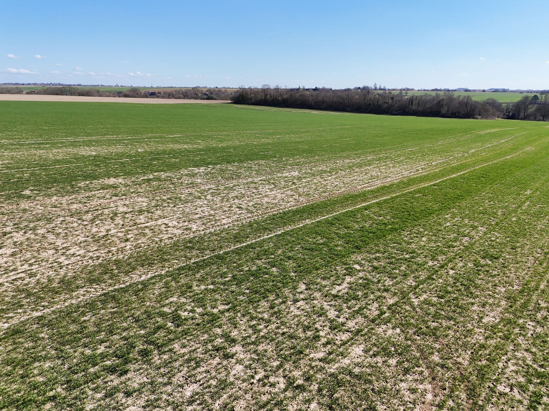 Groot perceel landbouwgrond - BLOK C - foto 4