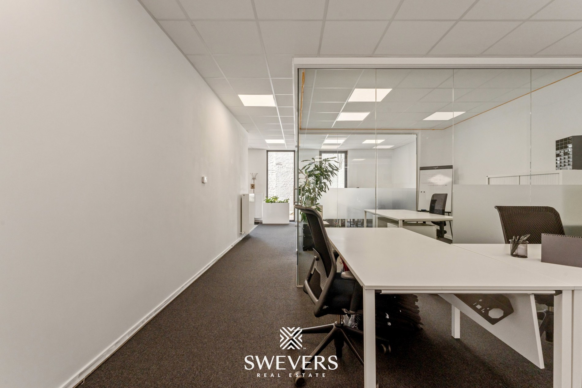 Instapklaar handelspand van 127 m² op toplocatie in Beringen - foto 5