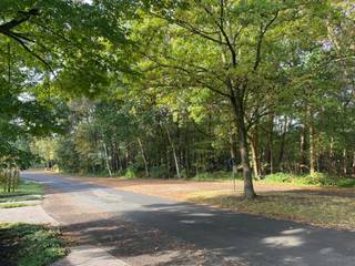 Villaperceel voor open bebouwing op 1.420m² in residentiële buurt 'Europawijk'. Erg rustig gelegen. 30 meter straatbreedte. +- 50 meter diepte...