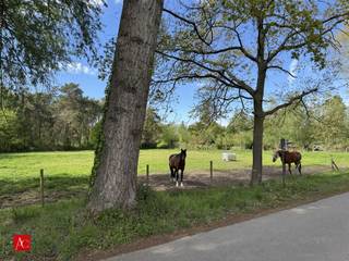 Zit je nog niet op een goede wei? Dan is dit perceel in Stekene zeker iets voor u! Dit perceel, kadastraal gekend als “bouwland” is gelegen langsheen...