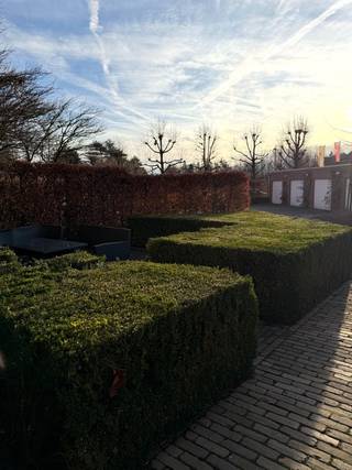 Apartment for rent in Hoogstraten