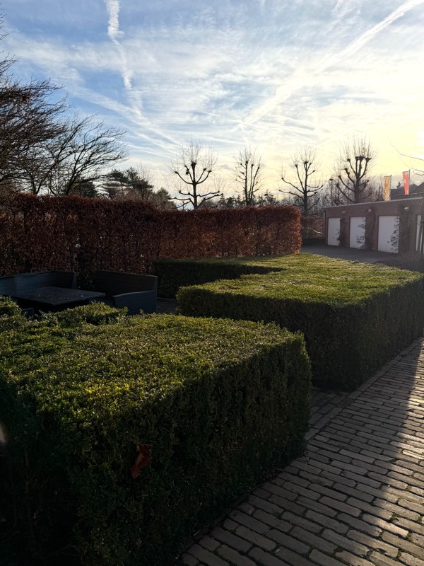 Apartment for rent in Hoogstraten with 3 bedrooms - photo 3