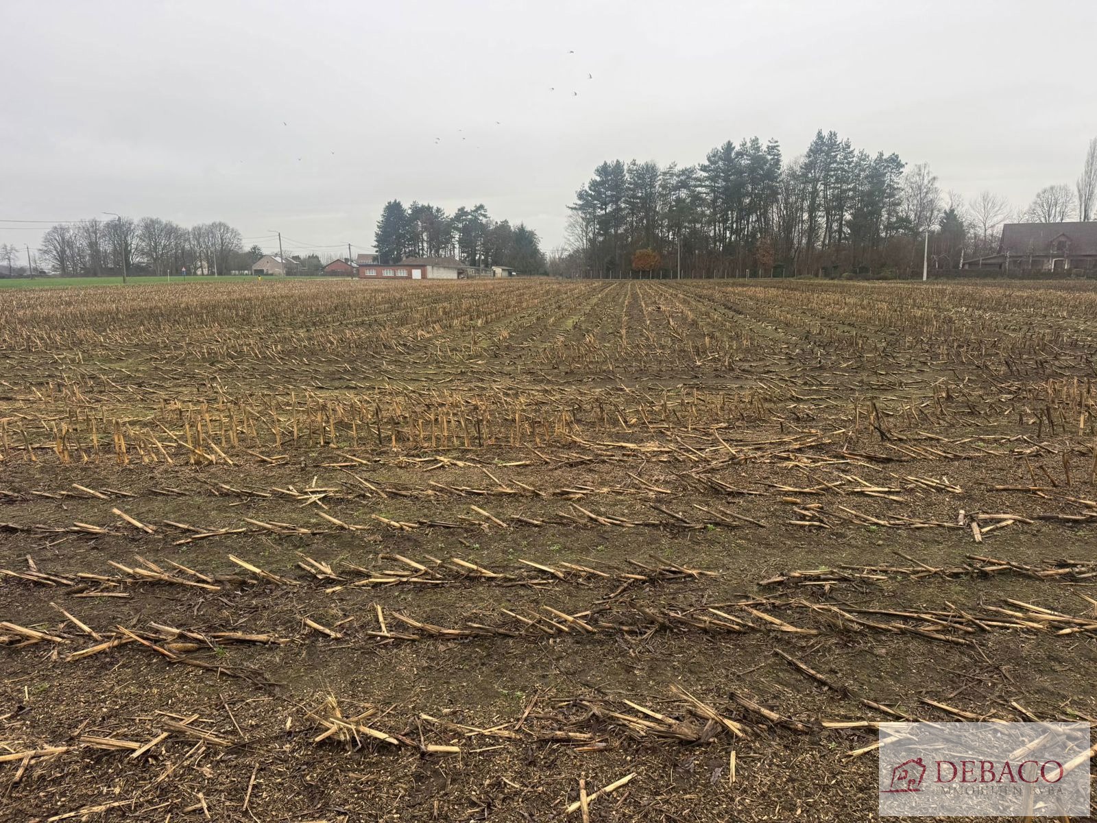 Terrain à vendre à Berlaar - photo 5