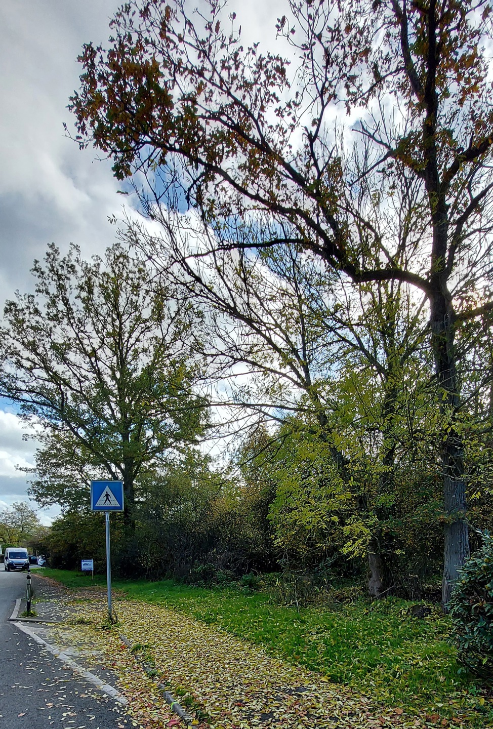 Terrain à vendre à Durbuy - photo 4