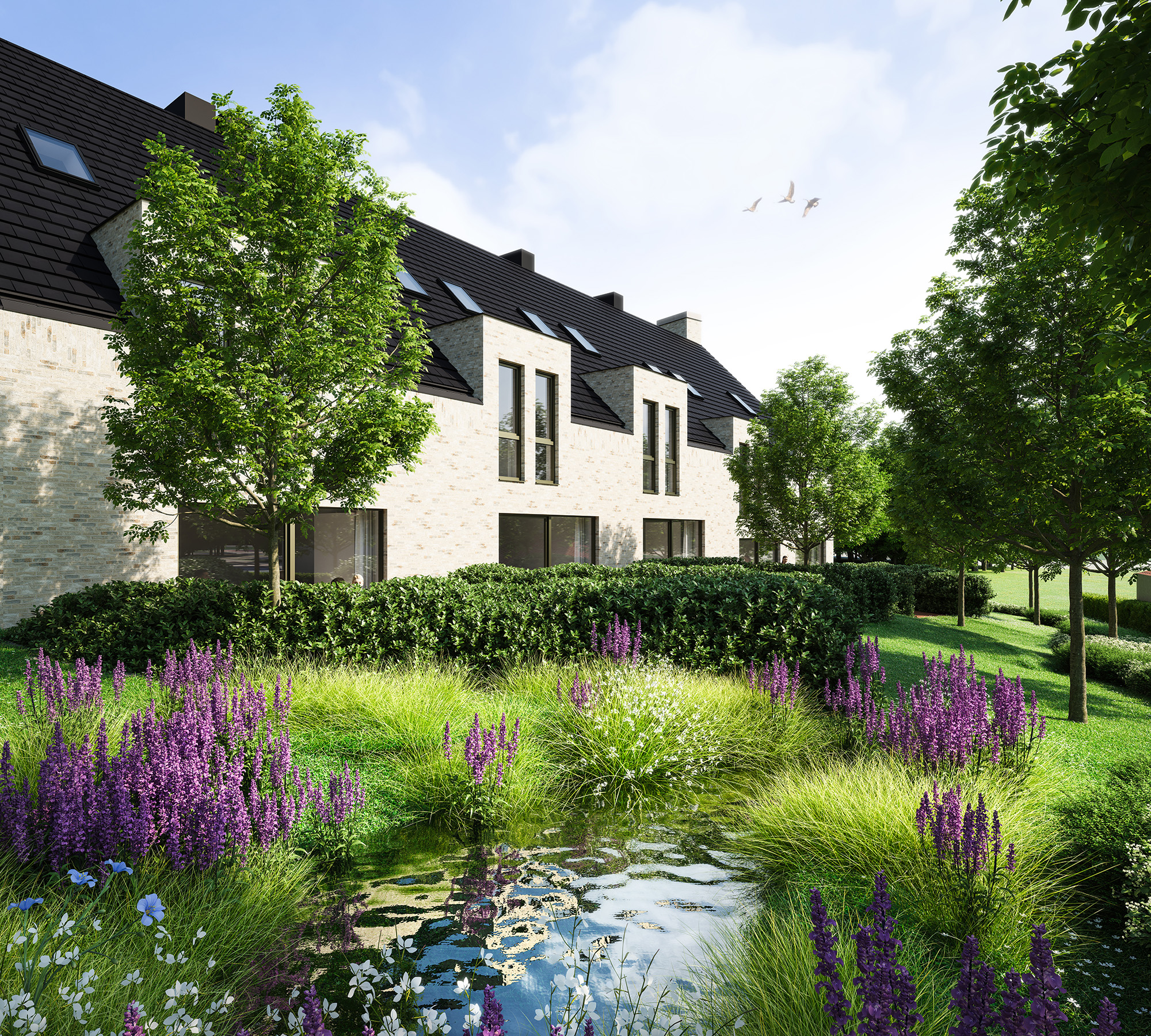 POIR: 55 appartementen en woningen in het centrum van Lennik - foto 4