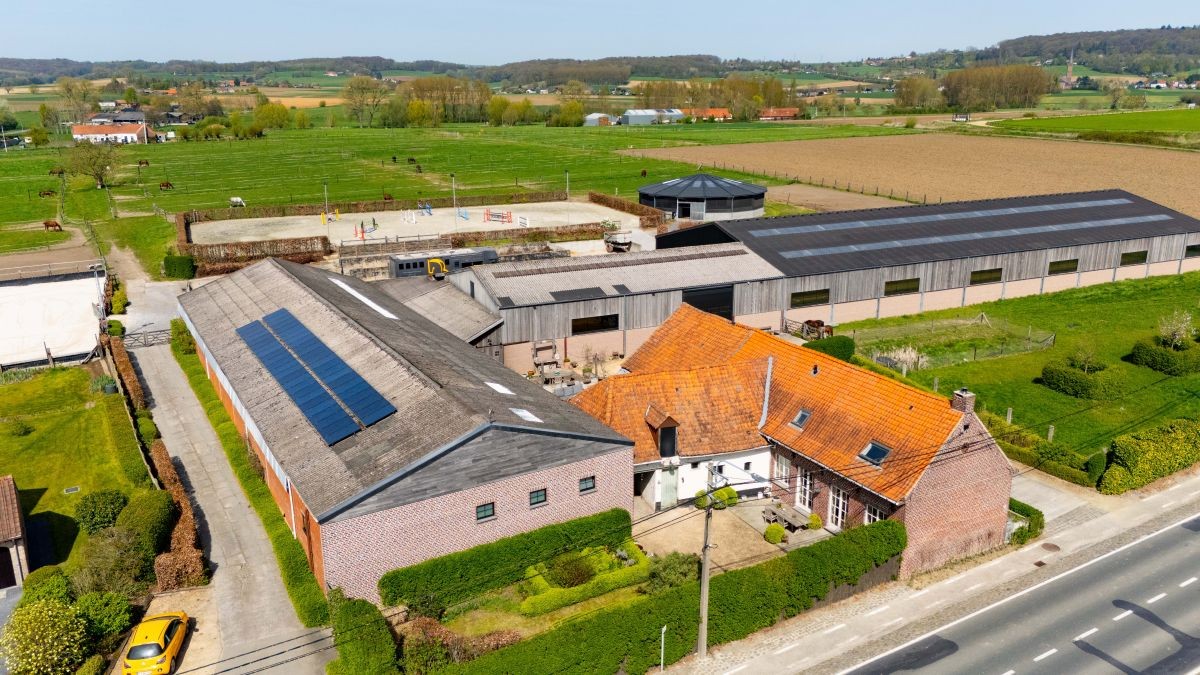 Prachtige paardenstoeterij te koop te Ronse - foto 2