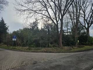 Land for sale in Olen