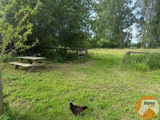 HUMBEEK - Weiland met paardenaccomodatie en piste in het groene HumbeekBent u op zoek naar een groene oase voor uw paarden of andere dieren, omgeven...