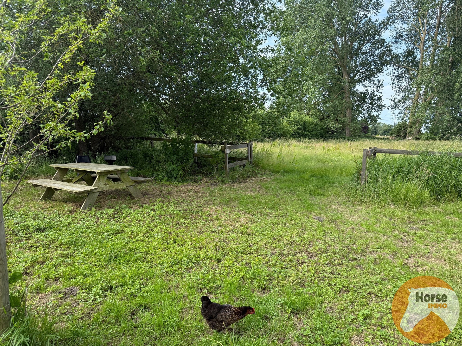 Terrain à vendre à Grimbergen - photo 3