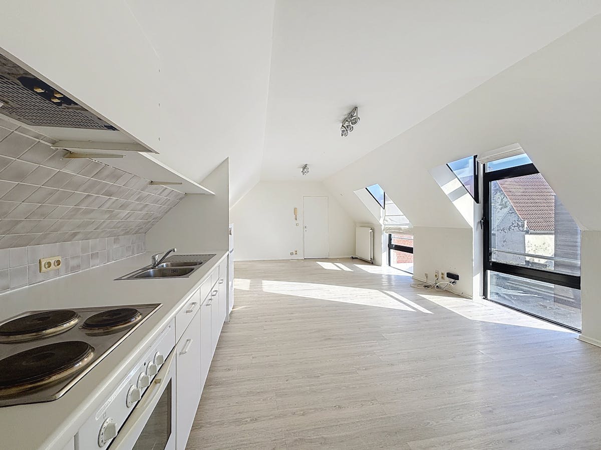 Appartement lumineux à louer dans le centre de Bruges - photo 2