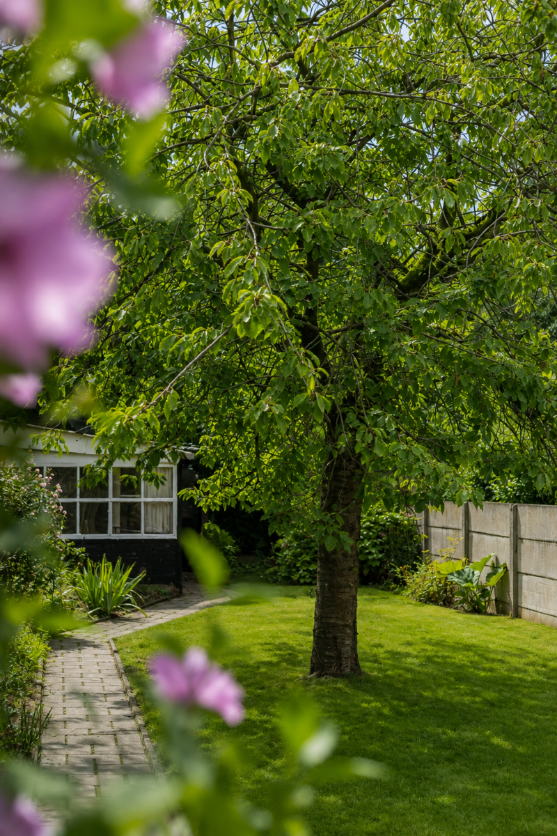 Te renoveren woning met charmante tuin in hartje Borsbeek! - foto 4