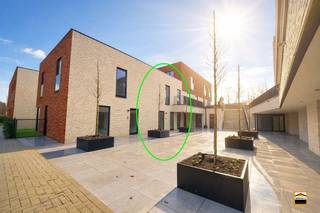 Maison à vendre à Tongres-Borgloon